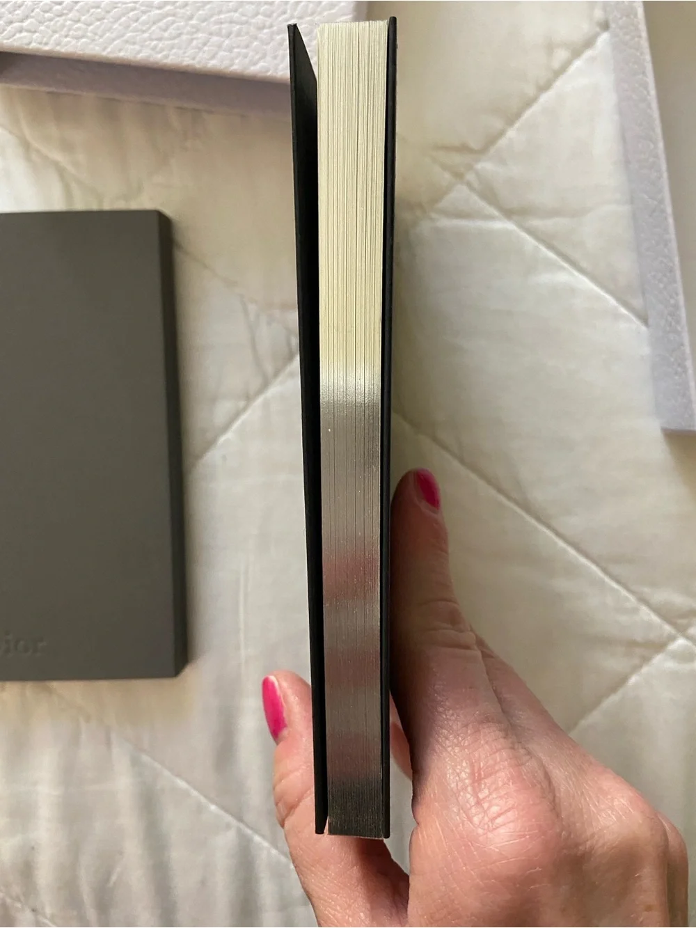 Dior Notebooks (2) in a white textured Dior box